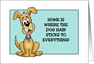 Funny Birthday Home Is Where The Dog Hair Sticks To Everything card