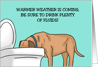 Humorous Blank Card Be Sure To Drink Plenty Of Fluids card