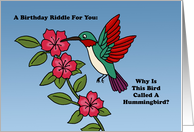 Humorous Birthday Why Is This Bird Called A Hummingbird card