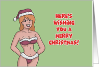 Funny Adult Christmas With A Woman In A Santa Bikini Wishing You card