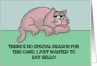 Cute Hi Hello With Cartoon Cat There's No Special Reason