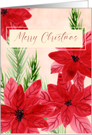 Merry Christmas Poinsettias and Pine Branches card
