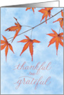 Thankful and Grateful Thanksgiving with Maple Leaves card