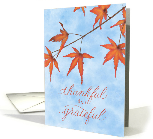 Thankful and Grateful Thanksgiving with Maple Leaves card (1887906)