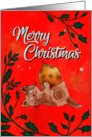 Merry Christmas with a Cute Kitten Playing with a Tree Ornament card