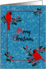Red Cardinals for Merry Christmas card
