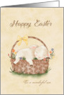 For Son Easter Lamb in a Basket Custom card