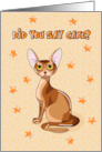 Birthday Abyssinian Cat for Cat Lover card