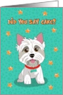 Birthday Skye Terrier for Dog Lover card