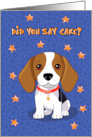 Birthday Beagle for Dog Lover card