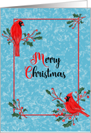 Red Cardinals for Merry Christmas card