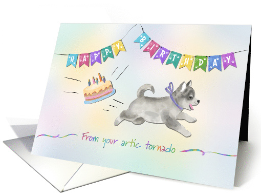 Birthday Alaskan Klee Kai for Dog Lover card (1926040)