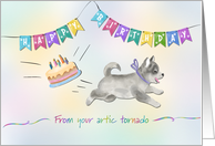 Birthday Alaskan Klee Kai for Dog Lover card