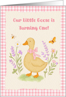 1st Birthday One Silly Goose Turns One Country Style