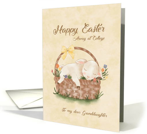 Away at College Gradndaughter Easter Lamb in Basket Watercolor card