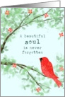 Symapthy Cardinal Beautiful Soul card