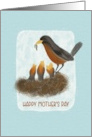 Mother’s Day Robin with Nest card