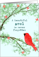 Symapthy Cardinal Beautiful Soul card