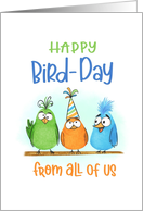 Birthday from All of Us Silly Birds card