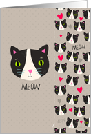 Hello Meow with Cute Cats with Hearts and Meow Bookmark card