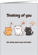 Funny Cat Thinking of You card