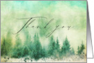 Thank You All Occasion Nature Evergreen Trees Green And Teal card