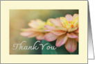 Thank You Pretty Pink And Yellow Zinnia Flower Photography card