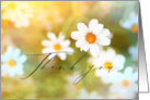 Thank You Dreamy White And Yellow Flowers Photography With Textures card