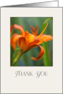 Thank You Daylily Orange And Green Bright and Bold Floral Photograph card