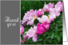 Thank You Pretty Pink Peonies Floral Photograph card