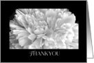 Thank You Black and White Peony Macro Floral Photograph card
