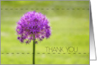 Thank You Bright And Cheerful Purple And Green Flower Photography card