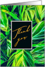 Thank You Bold Green And Yellow Leaves Nature Photography card