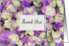 Thank You Flowers Purple Macro Floral Photography card