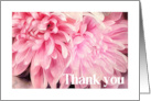 Thank You Pretty Pink Flower Petals On White card