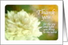 Thank You Pretty White Peony Flower Nature Photography card