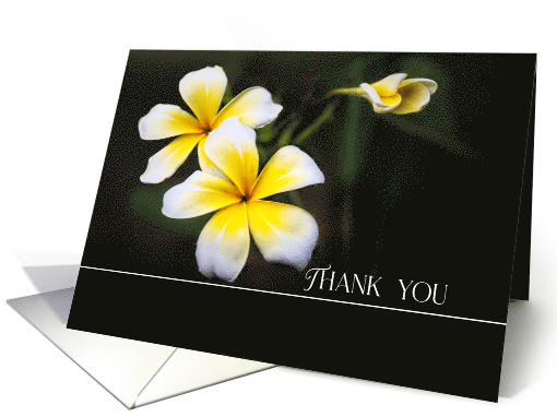 Thank You White and Yellow Plumeria Flowers card (1919222)
