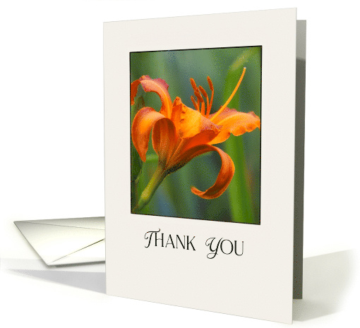Thank You Daylily Orange And Green Bright and Bold Floral... (1920974)