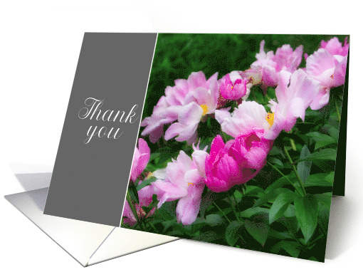 Thank You Pretty Pink Peonies Floral Photograph card (1920980)