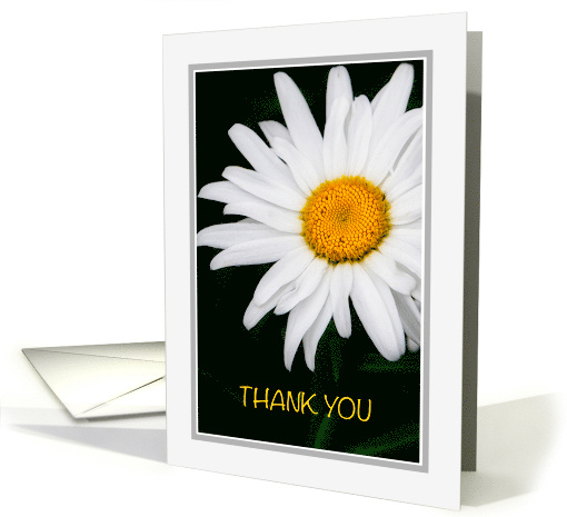 Thank You White Daisy Floral Photograph card (1921626)