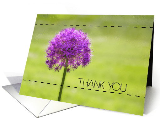 Thank You Bright And Cheerful Purple And Green Flower Photography card