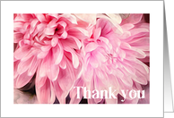 Thank You Pretty Pink Flower Petals On White card
