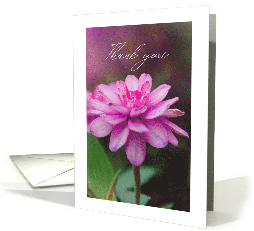 Thank You Pretty Pink Zinnia Flower card (1923744)
