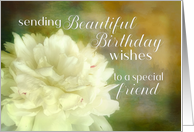 Elegant Happy Birthday Friend White Peony Flower Photography card