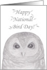 National Bird Day Cute Barred Owl Sketch card