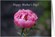 Mother’s Day Pink Magnoliopsida Flower card
