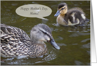 Mother’s Day Mallard Duckling and Mom card