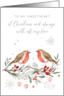 Sweetheart Christmas Robin Birds Card