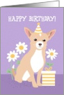 Happy Birthday Cute Blond Chihuahua Dog card