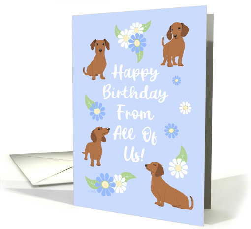 From Group Birthday Cute Dachshund Dogs With Flowers card (1943334)